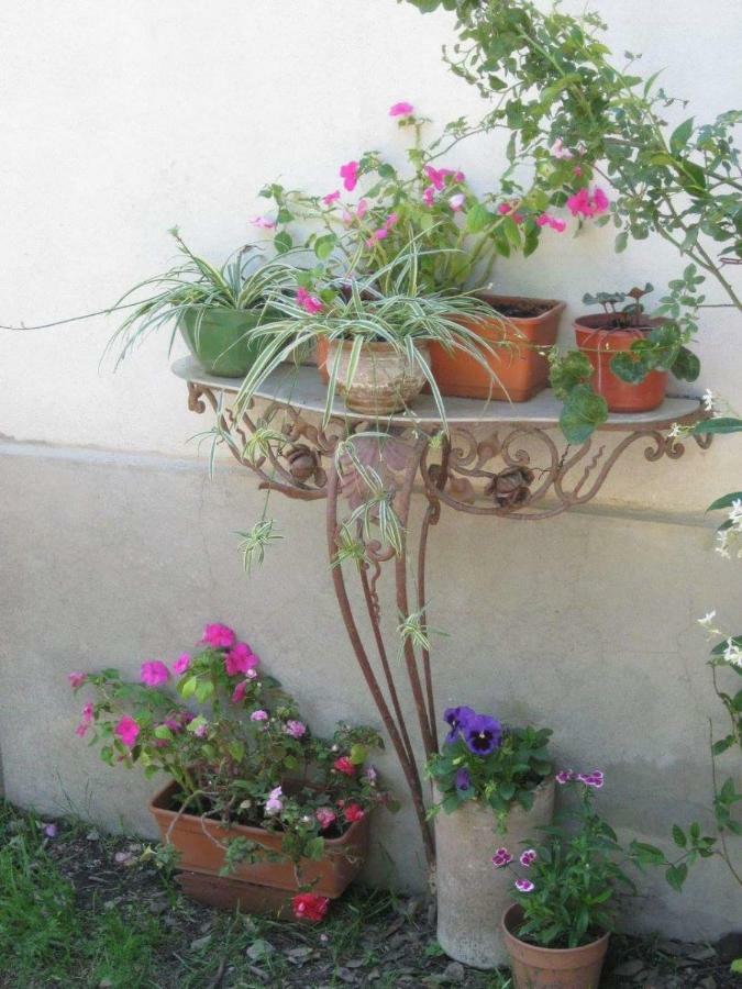 ויז'ה חנראל בלגרנו Tenderete מראה חיצוני תמונה